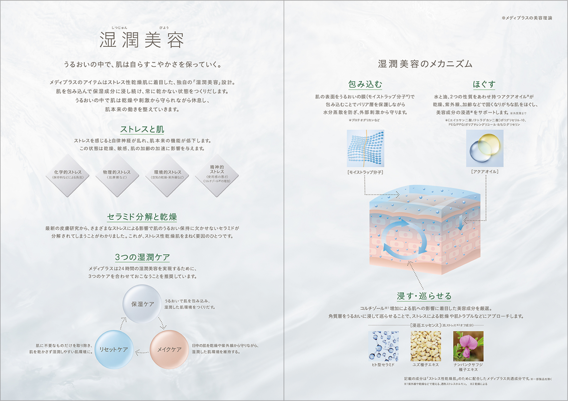 化粧品会社のブランディング