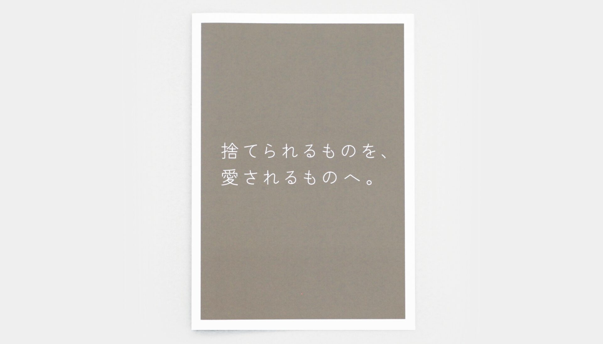 ブランディング及び会社案内、DM