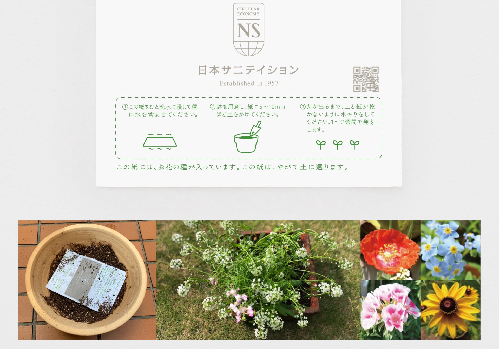 ブランディング及び会社案内、DM