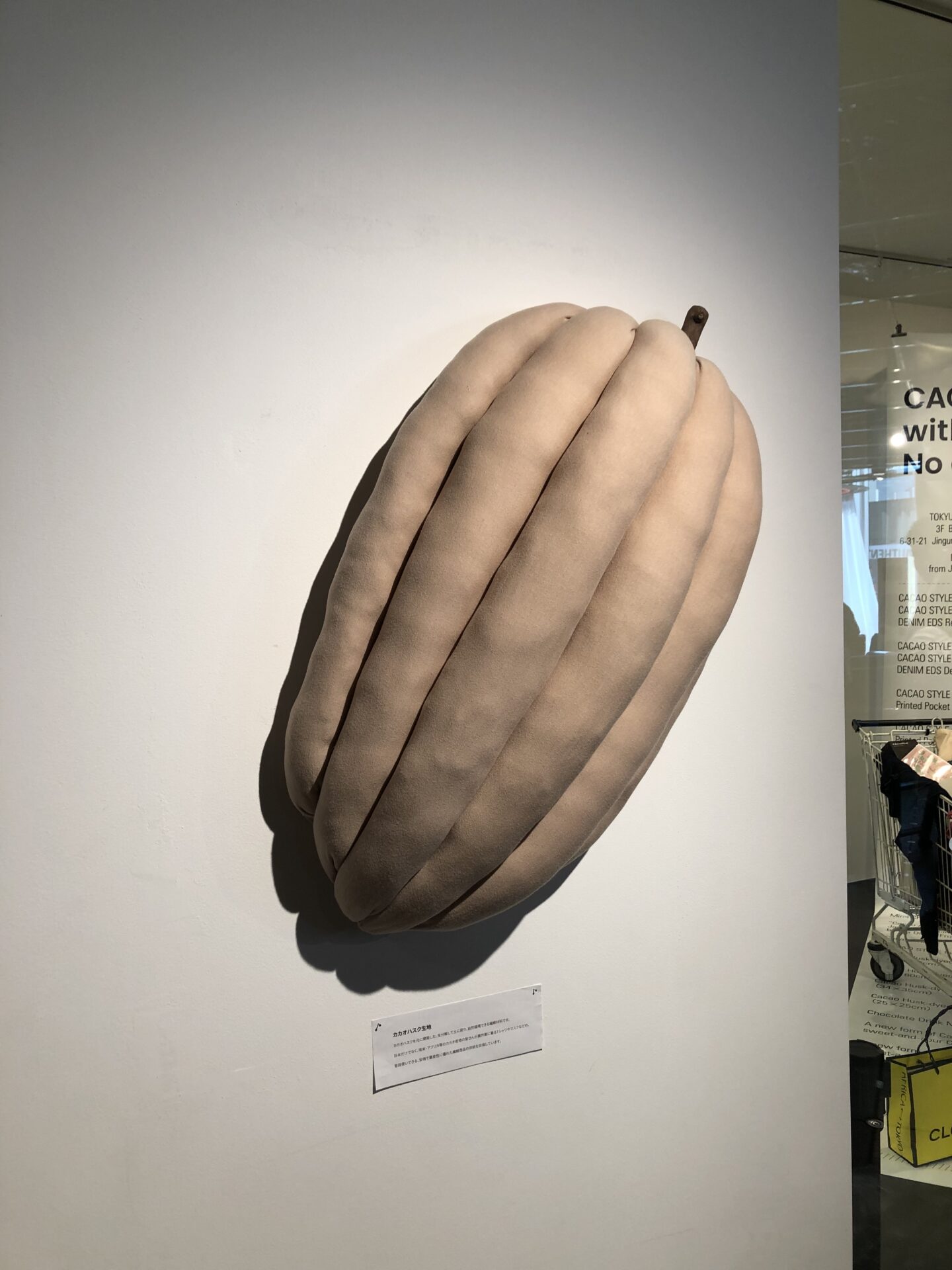 期間限定店「チョコレートのないカカオのお店」の会場デザイン、施工