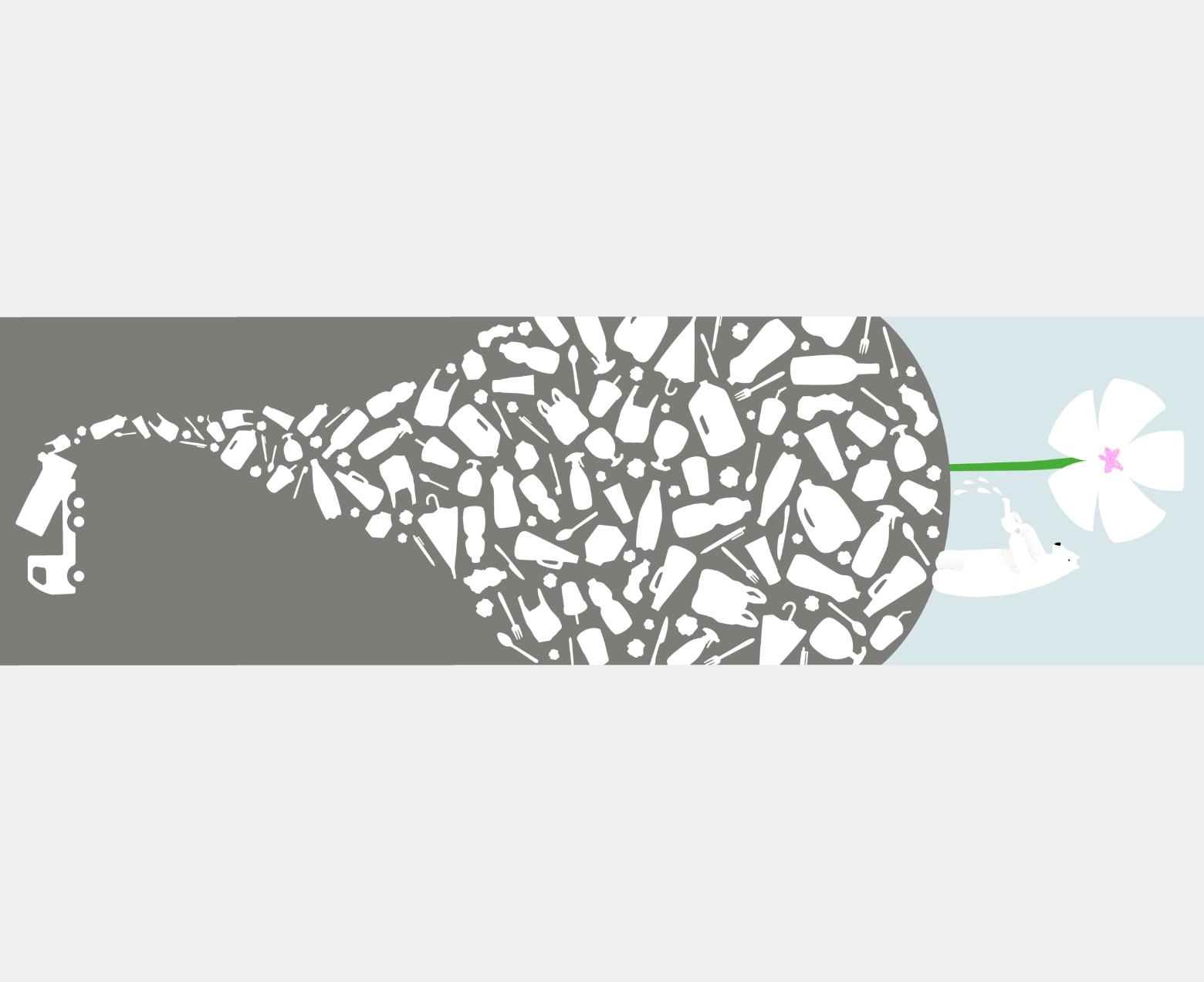 ブランディング及び会社案内、DM