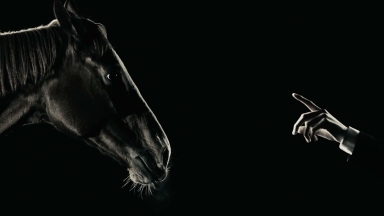 サラブレッドをシンボルに、ミラー型ドライブレコーダーの 安全性能を表現したTV-CMで一気に認知拡大を図る。